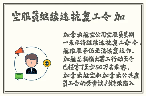 我想看小兔老师